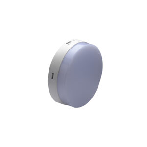12 Watt Surface Round